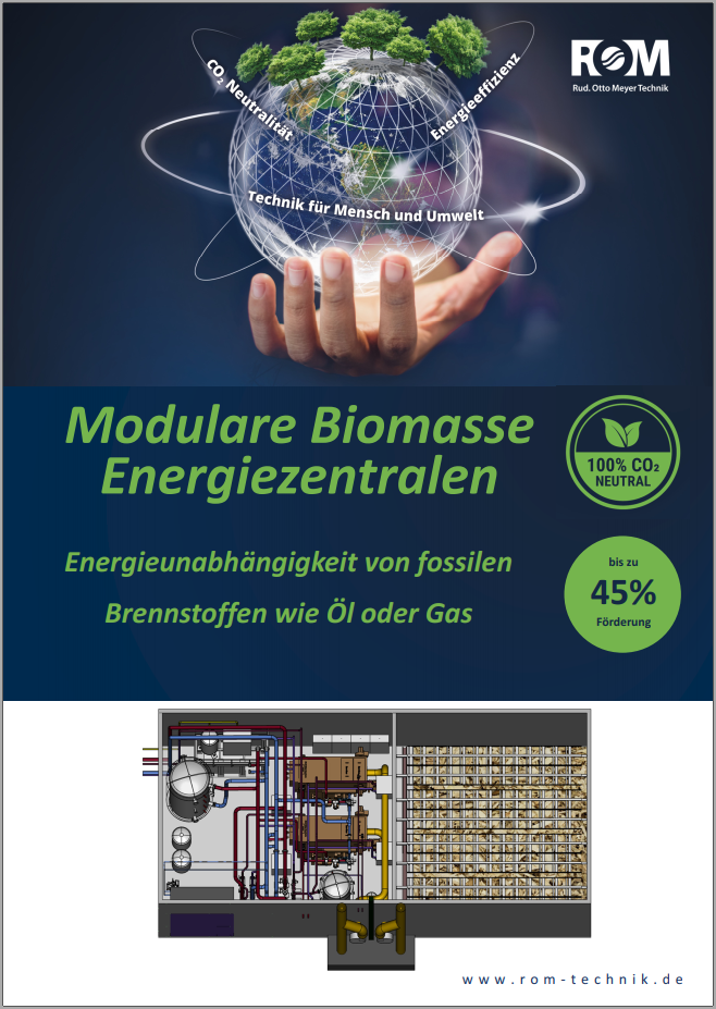 Titel_Flyer_Modulare_Biomasse_Energiezentralen.png
